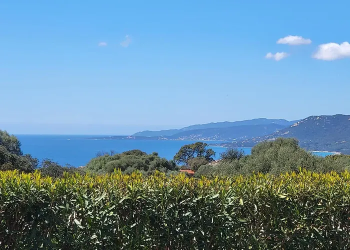 Апартаменты T2 Propriano Vue Mer, Neuf, Climatise Et Classe 3 Etoiles