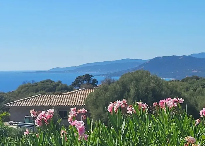 T2 Propriano Vue Mer, Neuf, Climatise Et Classe 3 Etoiles